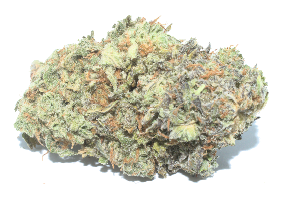 pink champagne - Power Plant Health