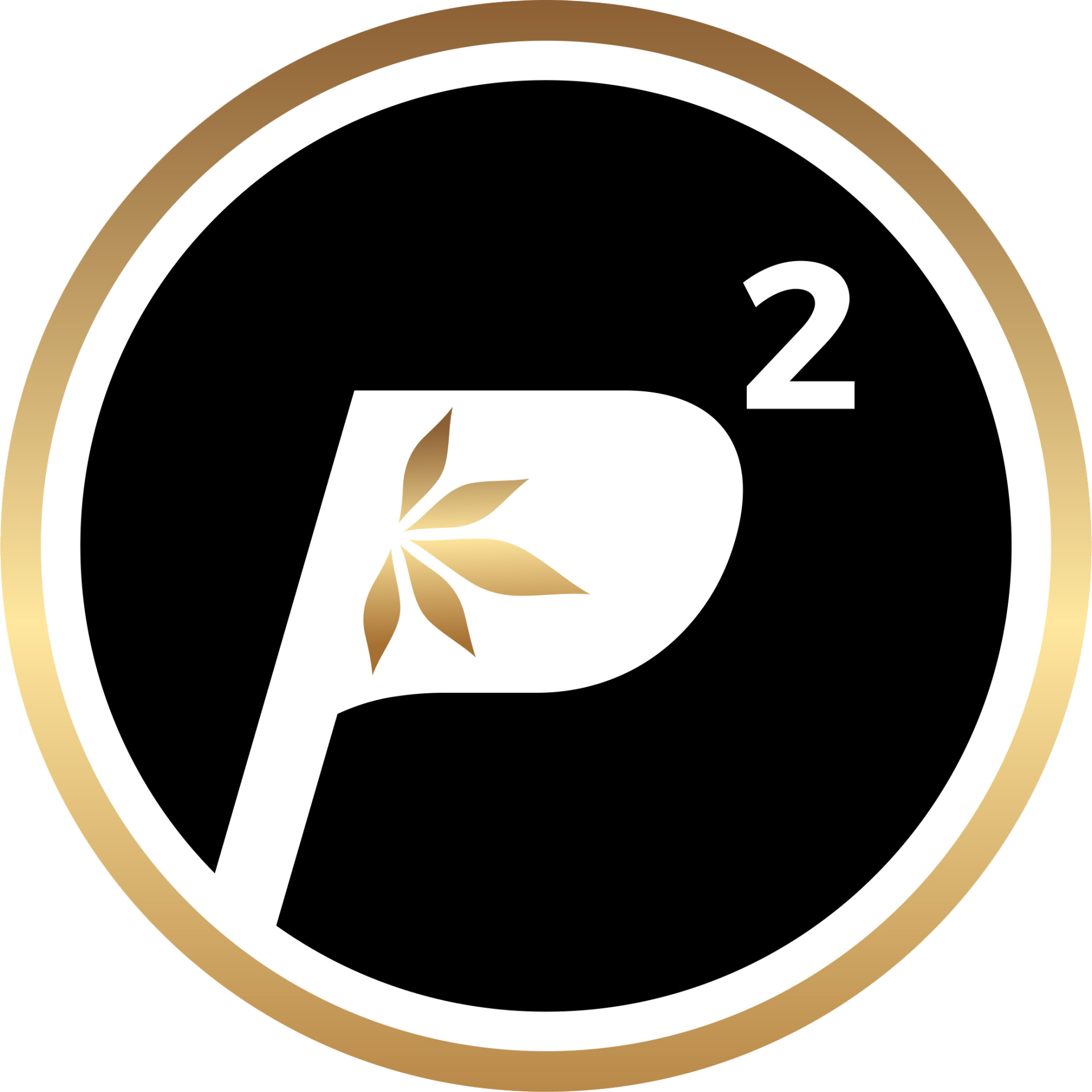 PowerPlantHealth Logo Semi Clear - Power Plant Health