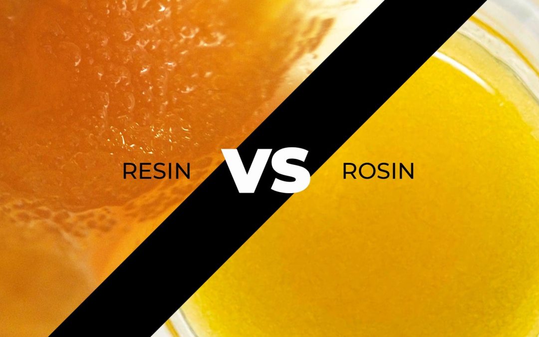 What is the difference between live resin & live rosin?